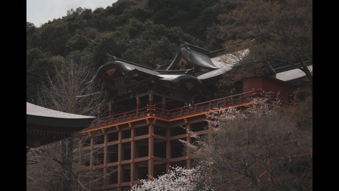 Yūtoku Inari Shrine | Kashima | Saga