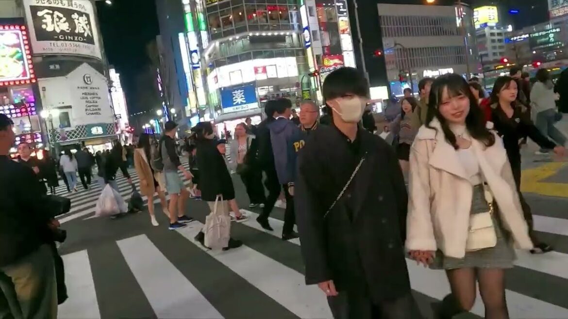 JAPAN TOUR ON A BUDGET IN DETAILS. FIRST TIME IN SHINJUKU, SHIBUYA, UENO PARK JAPAN TOUR ON A BUDGET IN DETAILS. FIRST TIME IN SHINJUKU, SHIBUYA, UENO PARK