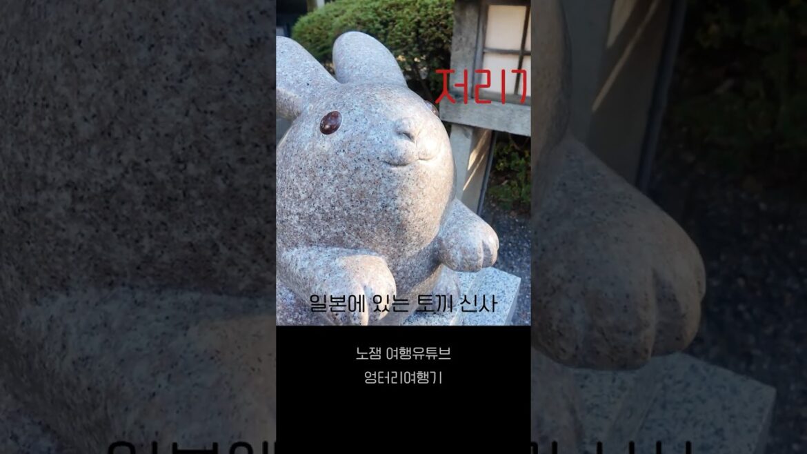 ★10명 유튜버 뚱슐랭의 기도 #뚱슐랭 #여행유튜버 #토끼신사 #오카자키 #travel  #japan #일본여행 #일본여행 ★10명 유튜버 뚱슐랭의 기도 #뚱슐랭 #여행유튜버 #토끼신사 #오카자키 #travel  #japan #일본여행 #일본여행