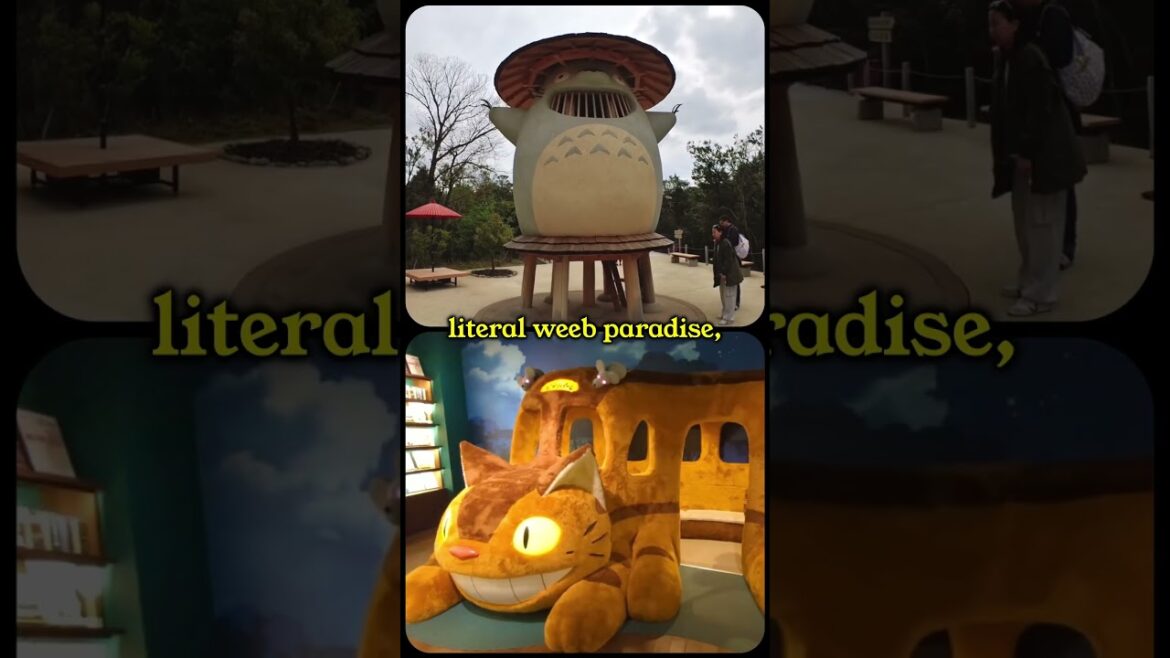 What makes Japan 🇯🇵 a MUST VISIT travel destination in 2025? (Ghibli Park, Mount Fuji & more) What makes Japan 🇯🇵 a MUST VISIT travel destination in 2025? (Ghibli Park, Mount Fuji & more)