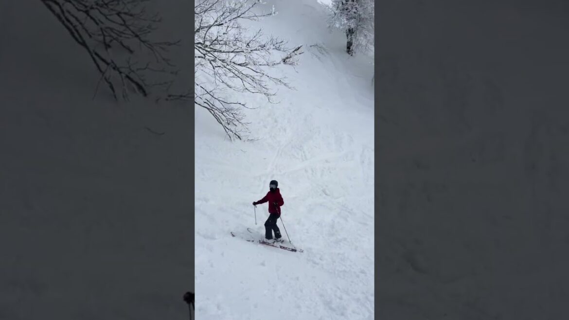 【JAPAN】Nice View & White Snow 🏂 - Hakuba Ski Resort
