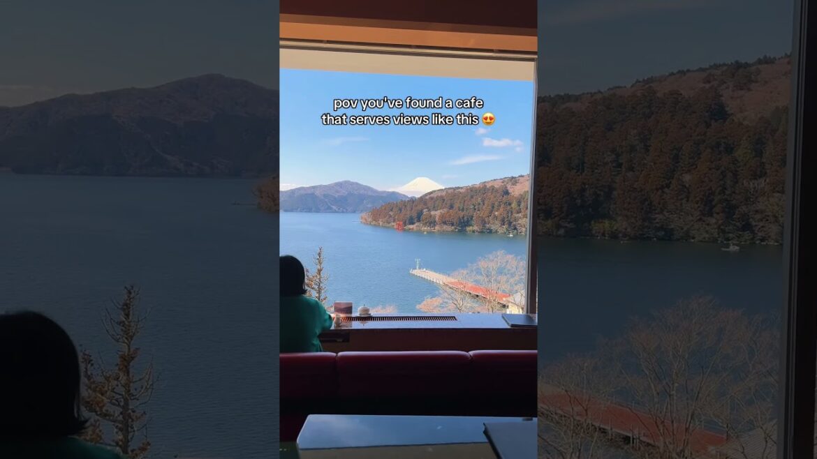 coffee with a side of mt. fuji plz 🙏😍🗻 #hakone #mtfuji #mountfujiview ##mountfuji #japantravel