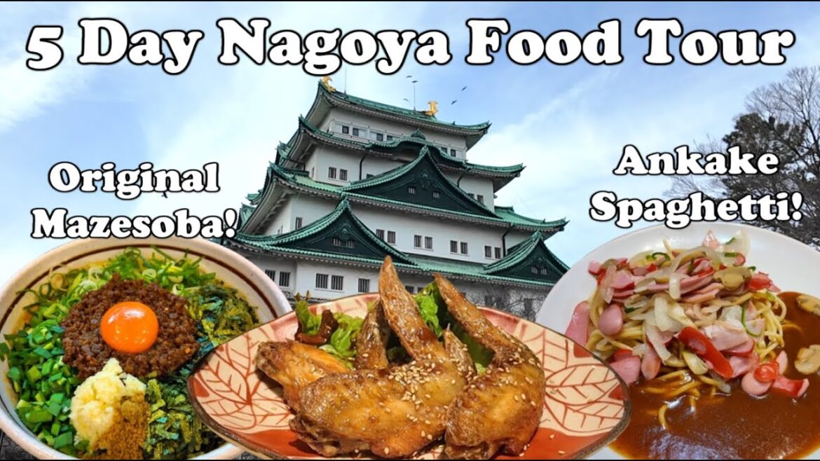Nagoya Food Tour: Ankake Spaghetti, Doteyaki, Tebasaki, Kishimen, Mazesoba and More!