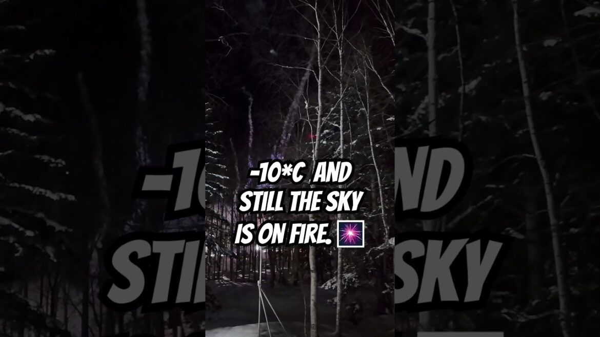 #hokkaidojapan #japan #trending #travel #sapporo #icevillage #winter #fireworks #youtubeshorts