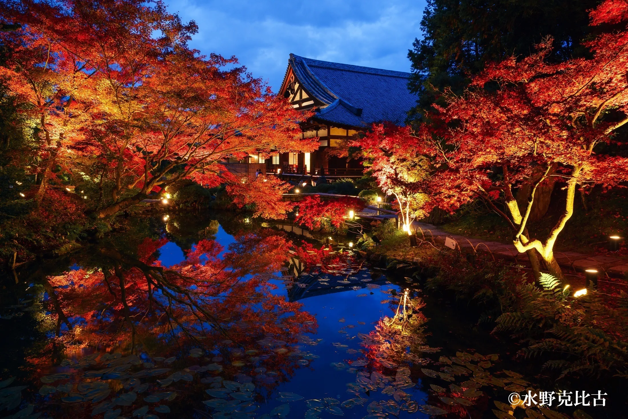 Kurodani Temple