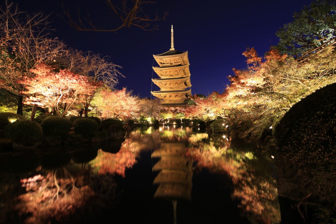 These seven Kyoto temples are lighting up for autumn night visits These seven Kyoto temples are lighting up for autumn night visits