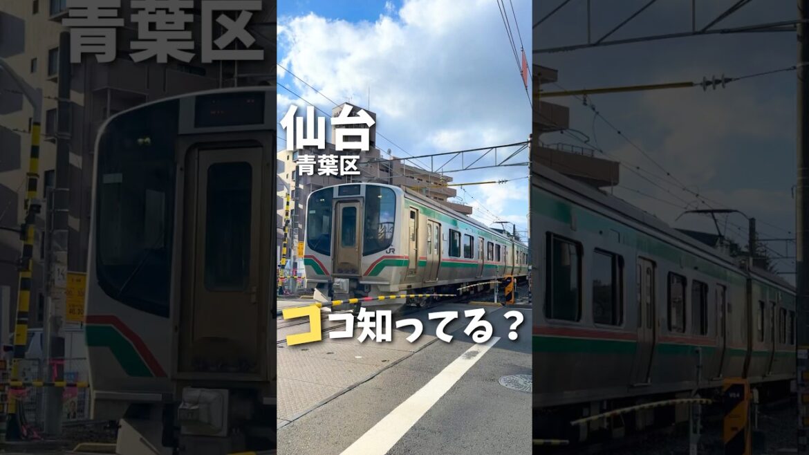 📍北仙台駅 / Sendai Japan #日本旅行 #仙台旅行 #宮城旅行 #景色 #仙山線 #japan #Sendai #japantravel  #japantrip #shorts