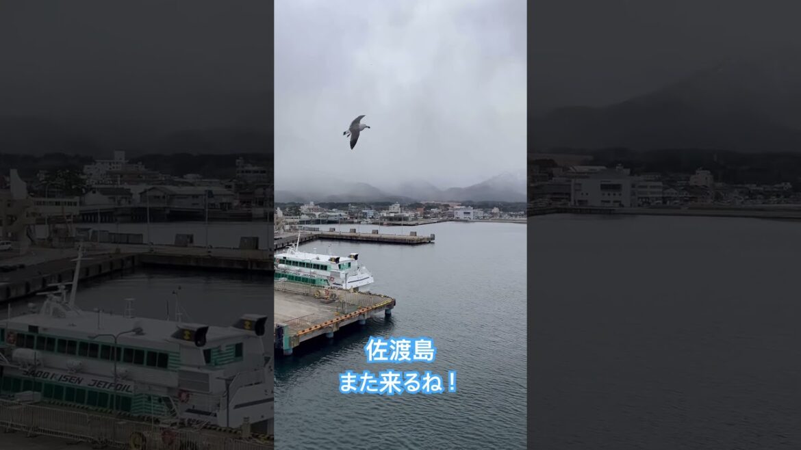 #佐渡島 #sado #japantravel