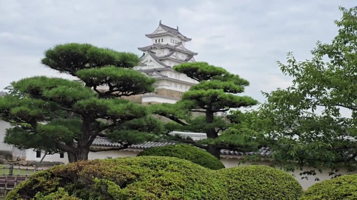 일본 오사카 근교 소도시 고베 히메지성. 교토. 오사카 2박3일 자유 여행 추천 the future ancient now ♪♪ - nathan moore - the world