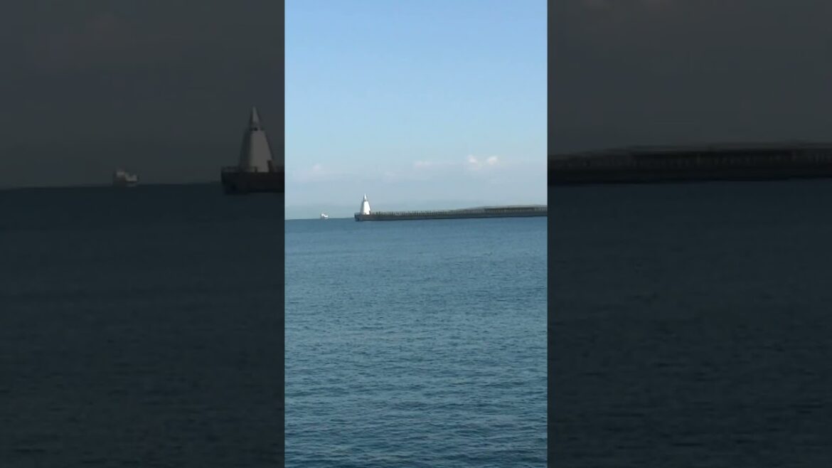 青函連絡船「八甲田丸」や青森ベイブリッジが見える青森港の風景