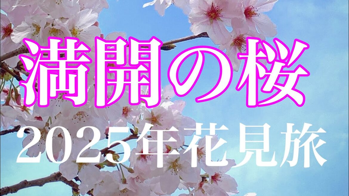 長崎の春を感じる旅　桜を見る回〜２０２５〜