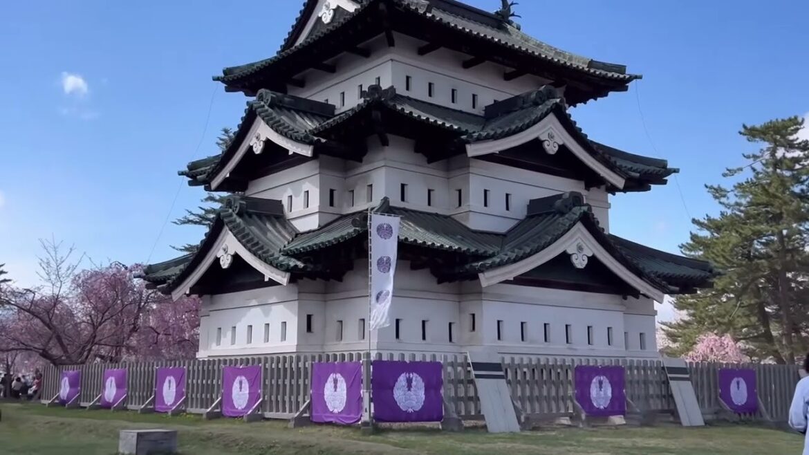 Top 8 best cherry blossom viewing spots in Osaka #sakura