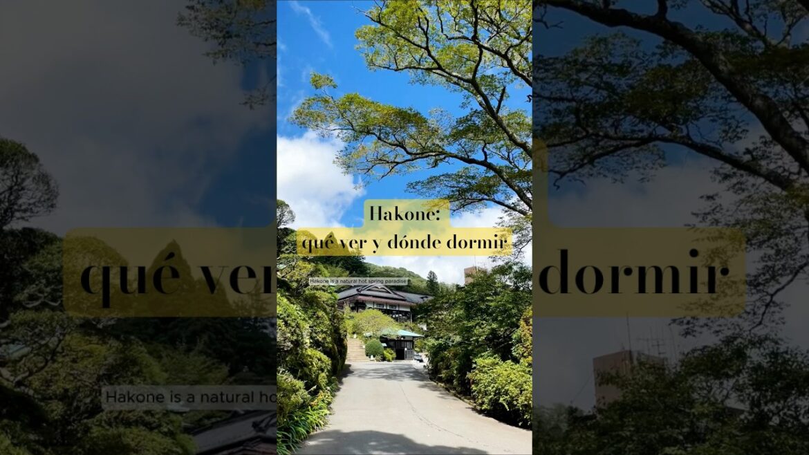 ¡HAKONE con vistas al MONTE FUJI! 🗻 Ryokan tradicional y onsen privado