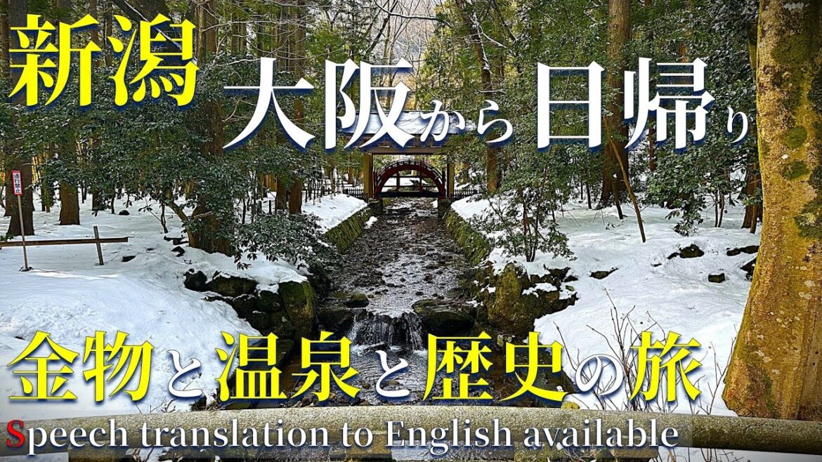 大阪発！新潟を日帰りで楽しむ一人旅｜新潟市、燕三条、弥彦温泉を満喫