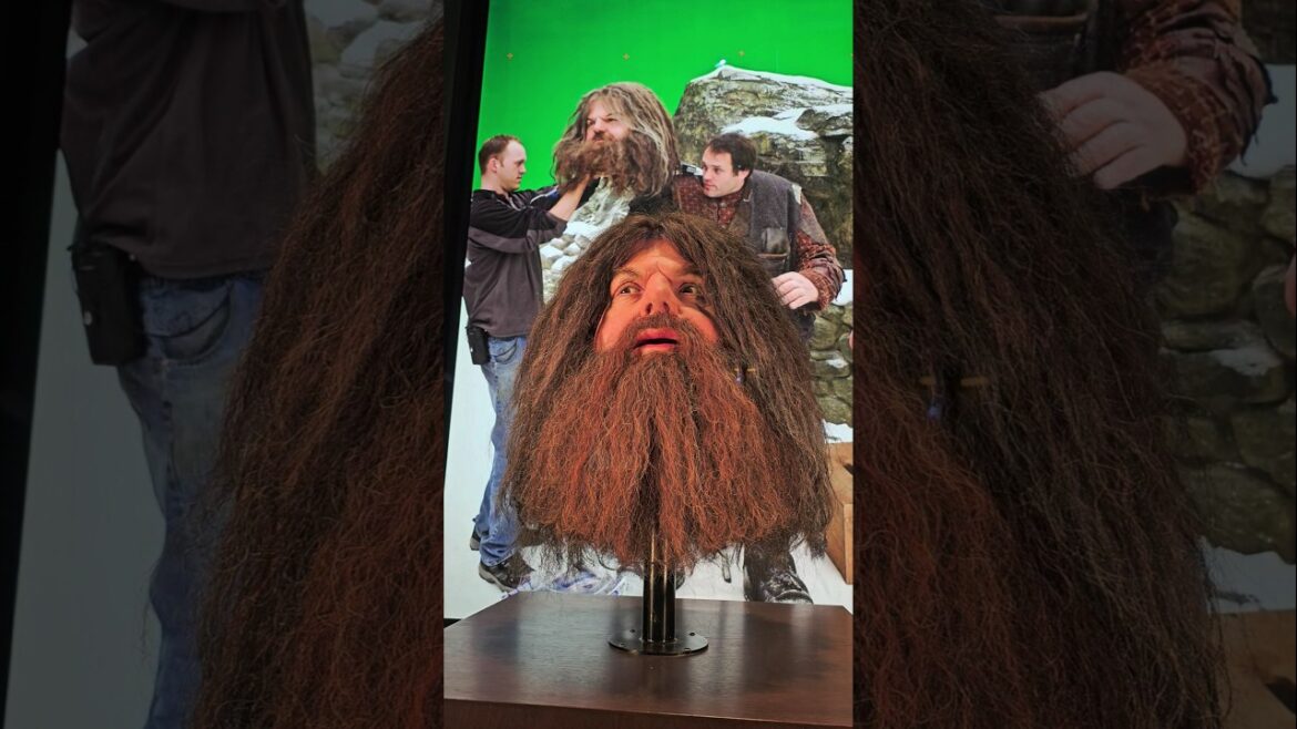 Hagrid 😢 (The Making of Harry Potter Tokyo)