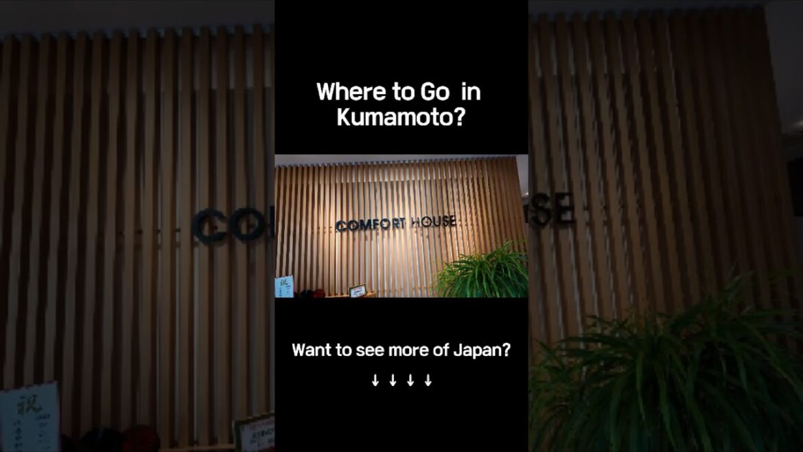 Best cafés in Kumamoto for a perfect coffee break! #Kumamoto #CoffeeLover #CafeHopping #traveljapan