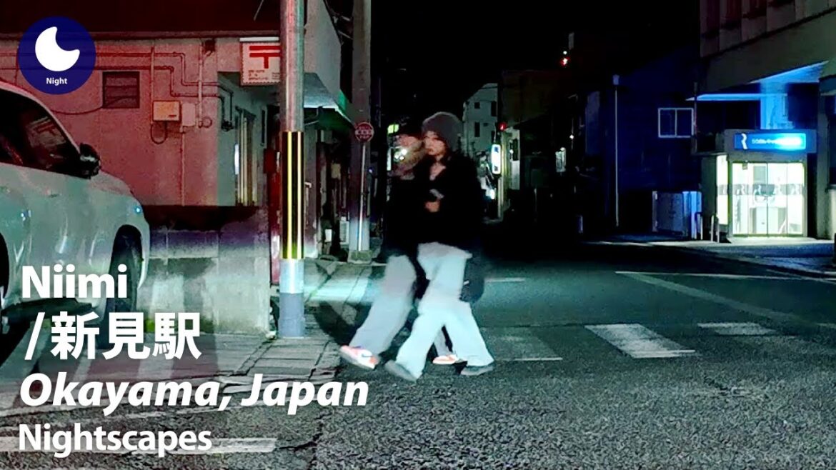 ⁴ᴷ Okayama: Niimi Station (岡山県: 新見駅) – Japan Walking Tour (March, 2025) ⁴ᴷ Okayama: Niimi Station (岡山県: 新見駅) - Japan Walking Tour (March, 2025)