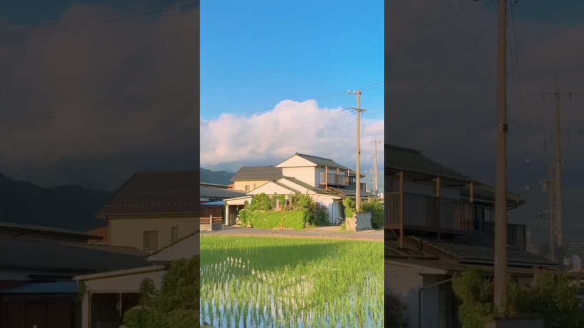 일본은 왜이렇게 낭만적인걸까 #nagano