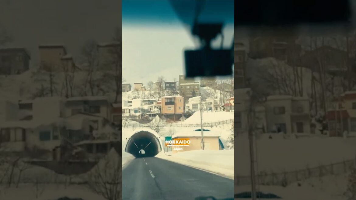 Way to Otaru, Hokkaido ❄️✨🇯🇵 #otaru #hokkaido #snowday #winterwonderland  #travel