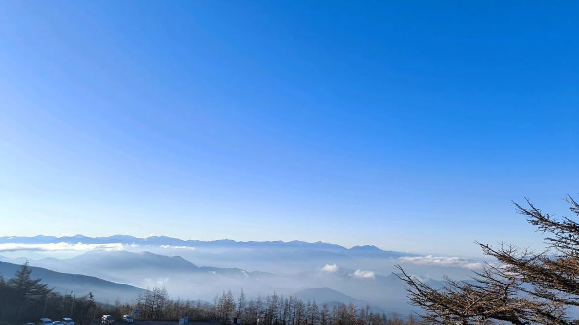 #ReviewActivity #Review Oishi Park & Mt. Fuji One Day Tour with Fruit Picking from Tokyo #ReviewActivity #Review Oishi Park & Mt. Fuji One Day Tour with Fruit Picking from Tokyo