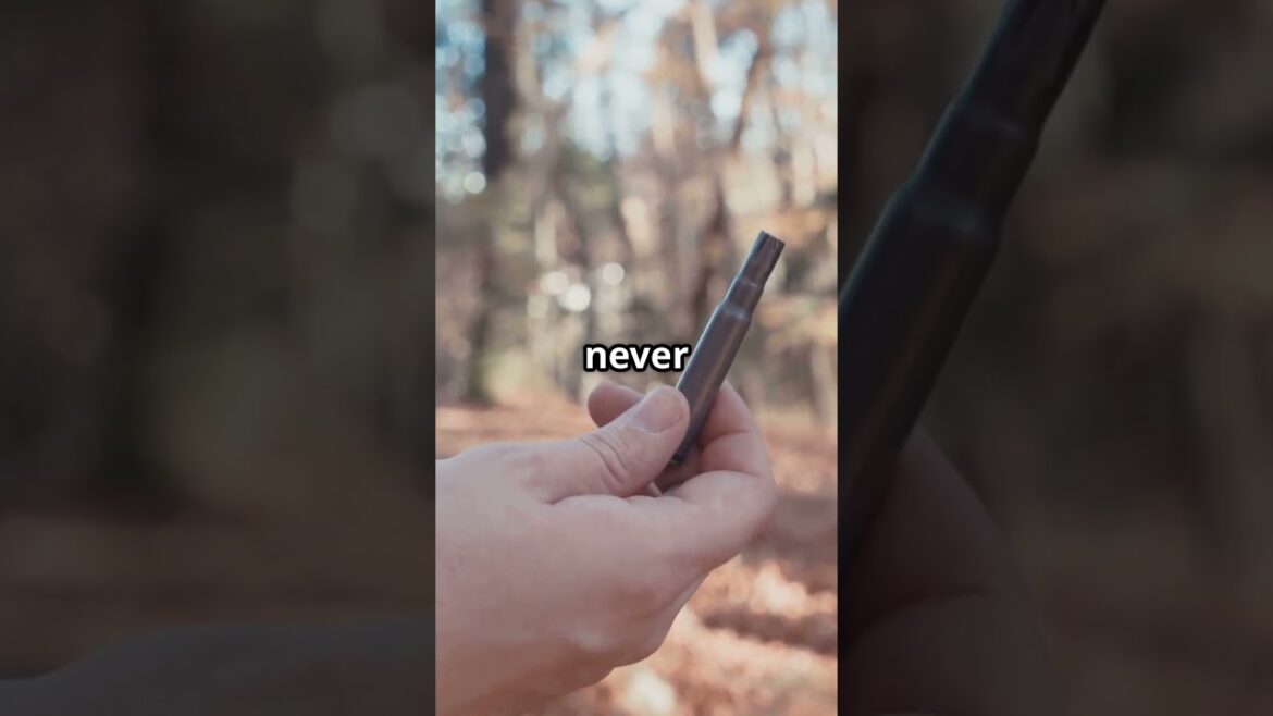 Aokigahara Forest: Japan’s Haunted Suicide Forest! (The Darkest Place on Earth?)