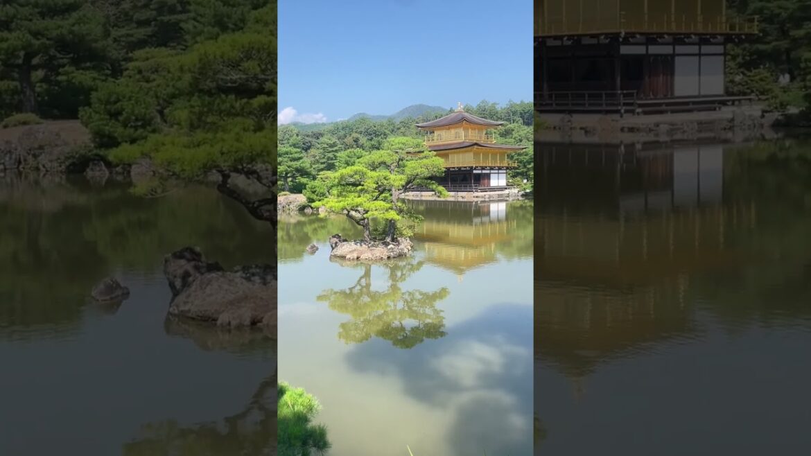 Kinkaku-ji, Peaceful Golden Pavilion in Japan to visit #travel #trending #beautiful #nature Kinkaku-ji, Peaceful Golden Pavilion in Japan to visit #travel #trending #beautiful #nature