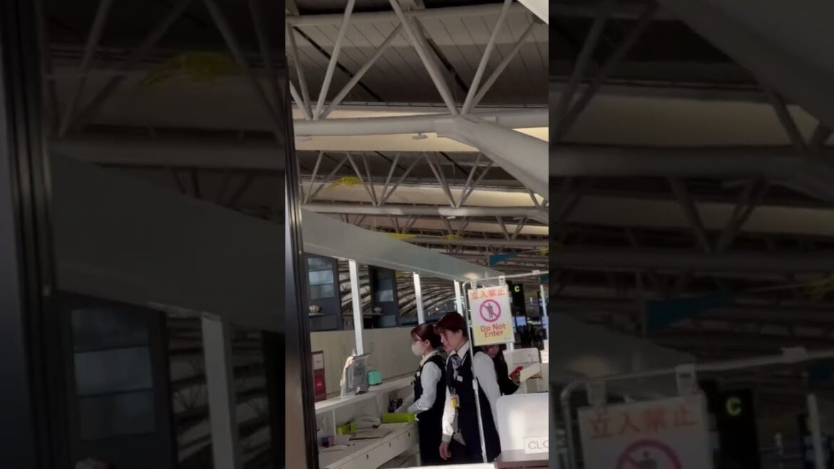 上海へ関空から出発