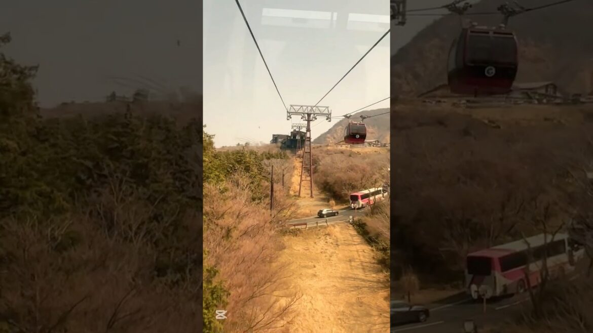 Hakone Day Trip Gondola (Part 2) #hakone #japan #daytrip #gondola #blackegg