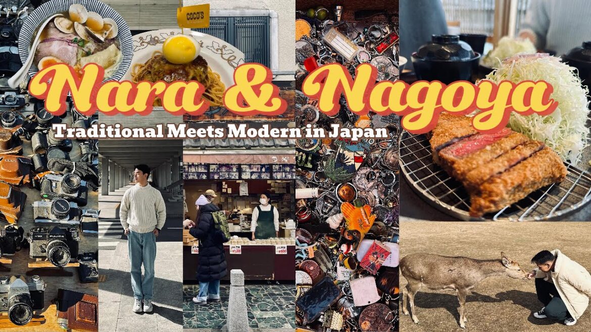 Nara & Nagoya: A Journey Through Culture & Food | Japan Vlog
