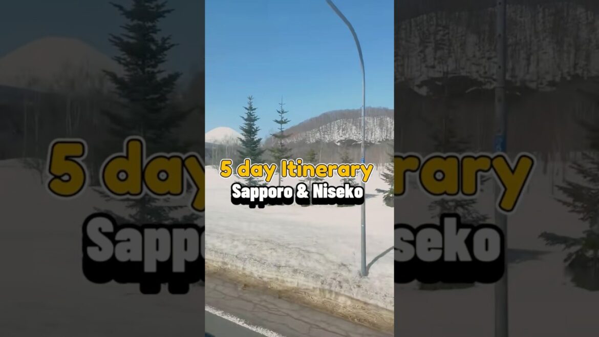 SAPPORO AND NISEKO JAPAN SAMPLE ITINERARY 🇯🇵 #sapporo #japan #niseko