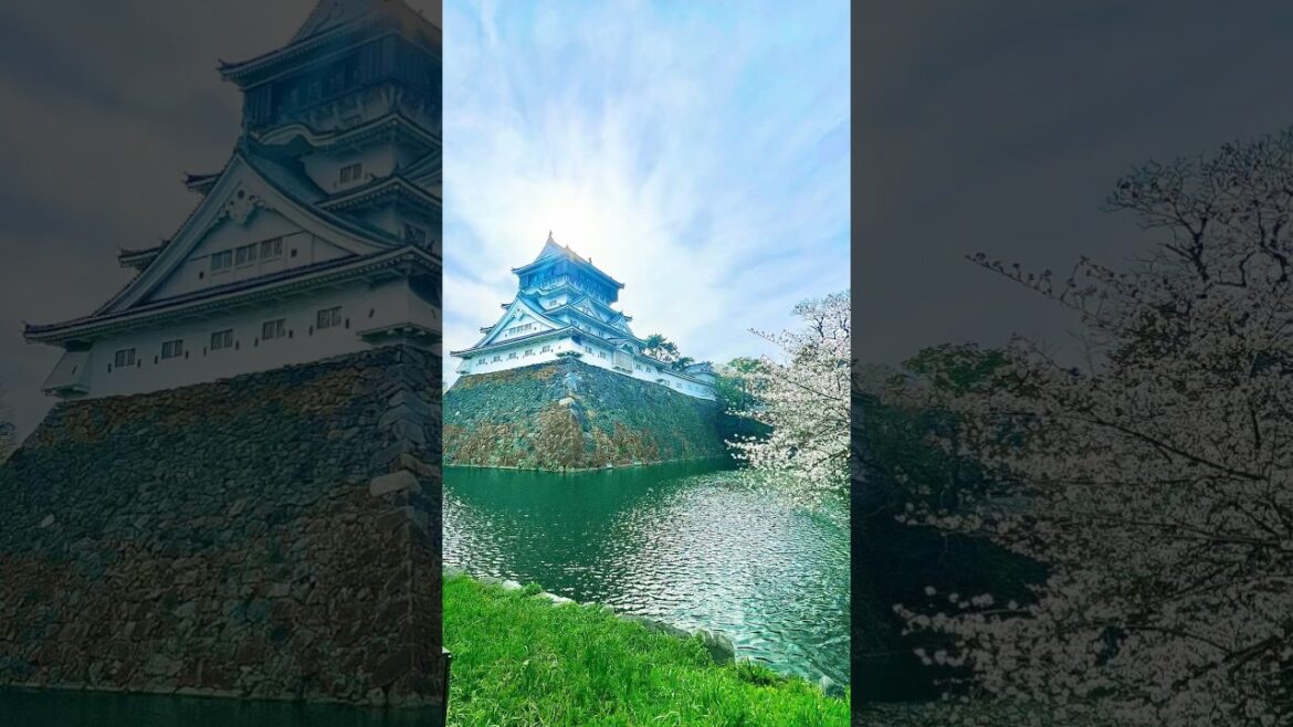 小倉城　花見　2025.3.31.