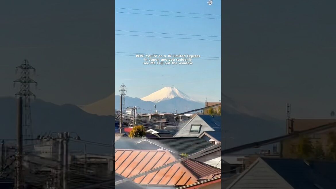 Mt Fuji in JR Limited Express view #tokyo #japantravel #viralshorts #viralvideo #fuji #japan #fyp