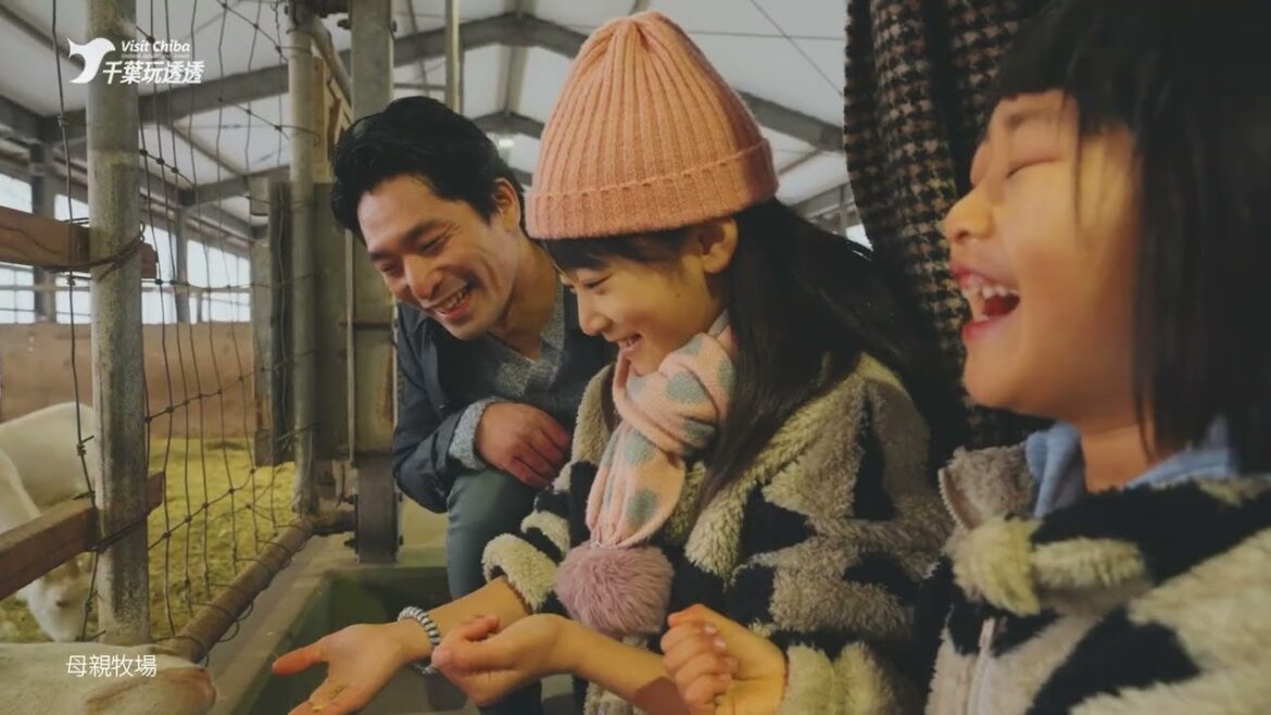 魅力いっぱい｜千葉玩透透 Visit Chiba