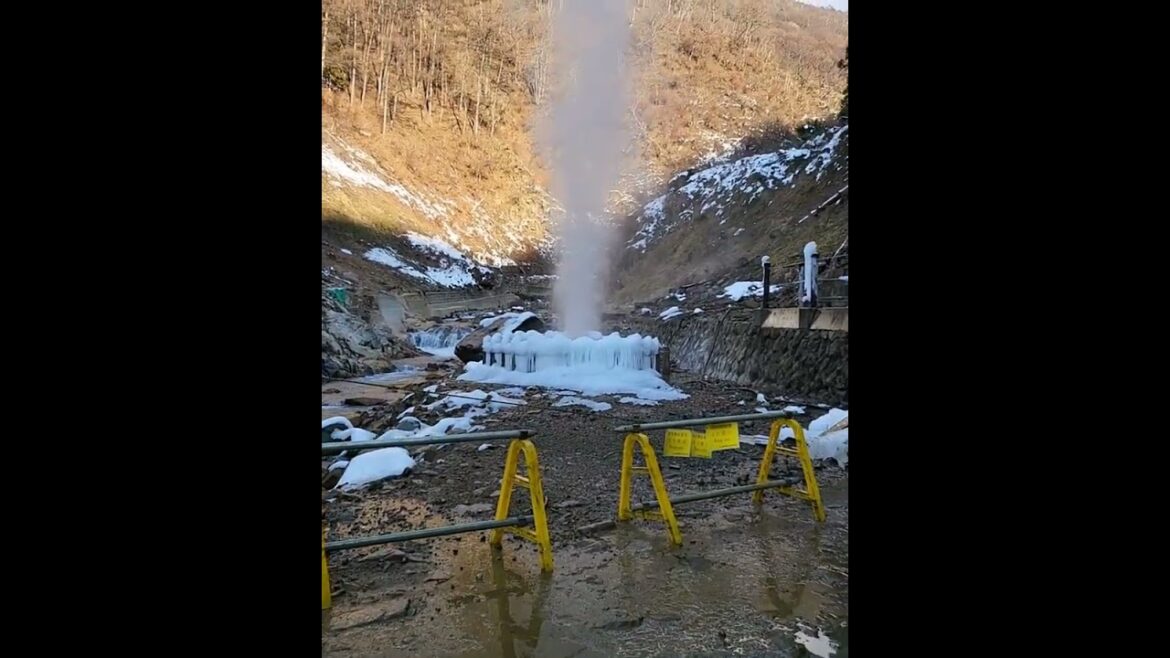 Jigokudani  Snow Monkey Park Nagano Japan