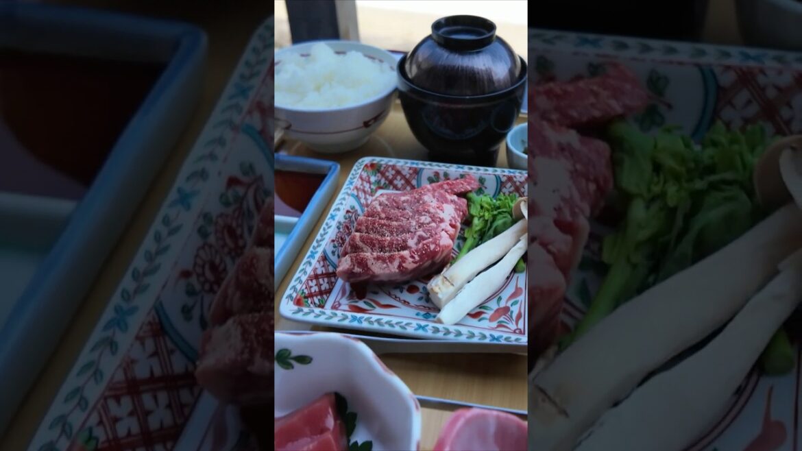 Lunch with a view in Kyoto 🍱