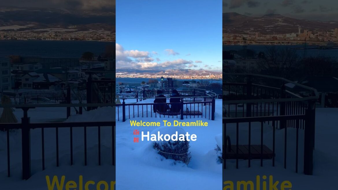 Spot in Hakodate That Feels Like Dreamland 🤩#travel #hakodate #ytshorts #shorts