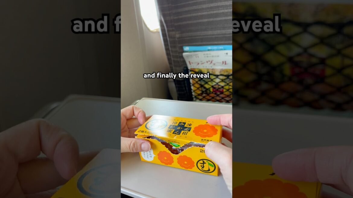 Train Bento: Orange box reveal! #japan #train #shinkansen #bento #travel #japanesefood #shorts Train Bento: Orange box reveal! #japan #train #shinkansen #bento #travel #japanesefood #shorts