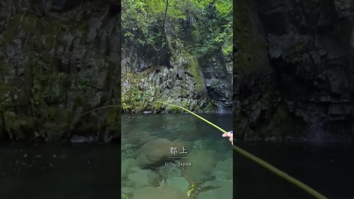 Fishing with a Handmade Bamboo Rod in Gifu, Japan Fishing with a Handmade Bamboo Rod in Gifu, Japan