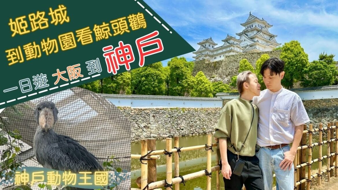 神戶最推薦的動物園，遠古巨大鳥，日本只有六處動物園有【夫夫Vlog】