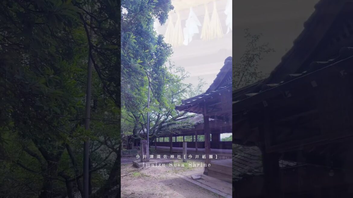 福岡県行橋市⛩️今井津須佐神社【試練の石段の先に】#今井津須佐神社 #今井祇園 #行橋市 #福岡観光 #パワースポット #神社巡り #御朱印 #歴史散策 #今井祇園祭 #行橋焼きそば #平尾台