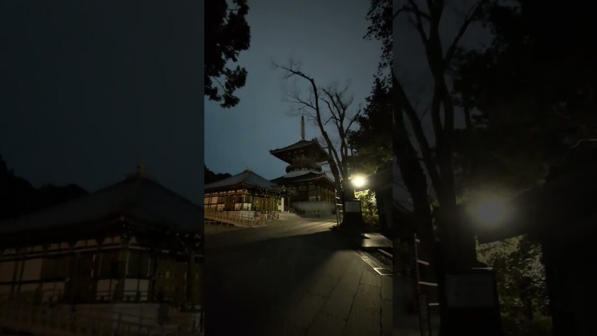 Naritasan Shinsho Ji Temple 🇯🇵