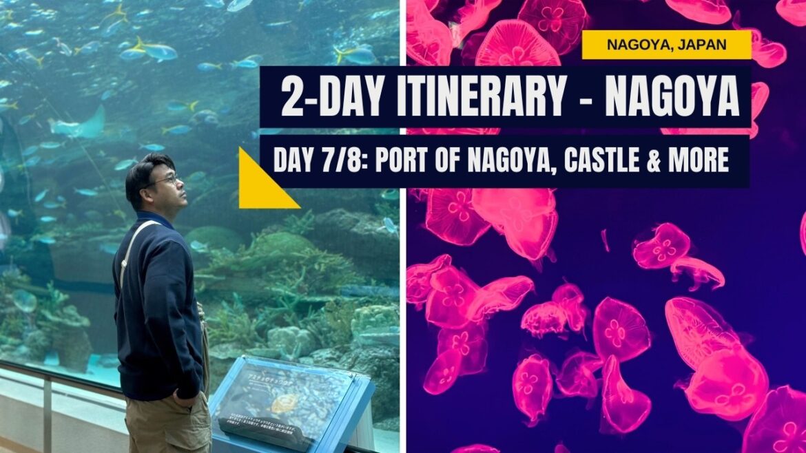 2-Day Itinerary in Nagoya Japan | Nagoya Castle, Port of Nagoya, Chubu Tower & More (Part 7/8) 2-Day Itinerary in Nagoya Japan | Nagoya Castle, Port of Nagoya, Chubu Tower & More (Part 7/8)