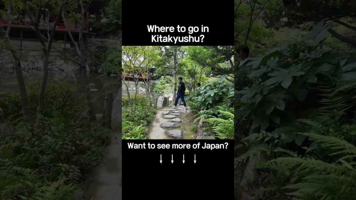 So Much to See at Kokura Castle! Don't Miss It! #Visitkyushu #KokuraCastle #travelvlog