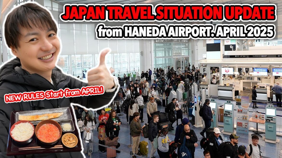 April Japan Travel Update. Easier Immigration Process Starting? Spring Break Haneda Airport Ep.561