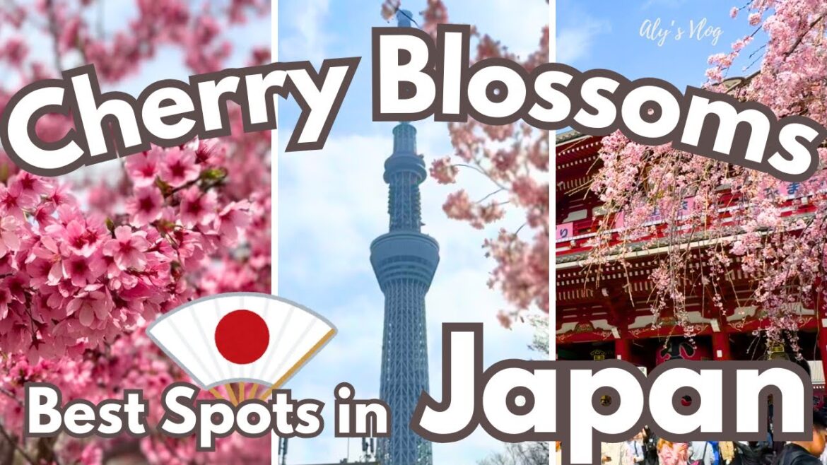 The Best Photo Spots for Cherry Blossoms in Tokyo :Japan Travel The Best Photo Spots for Cherry Blossoms in Tokyo :Japan Travel