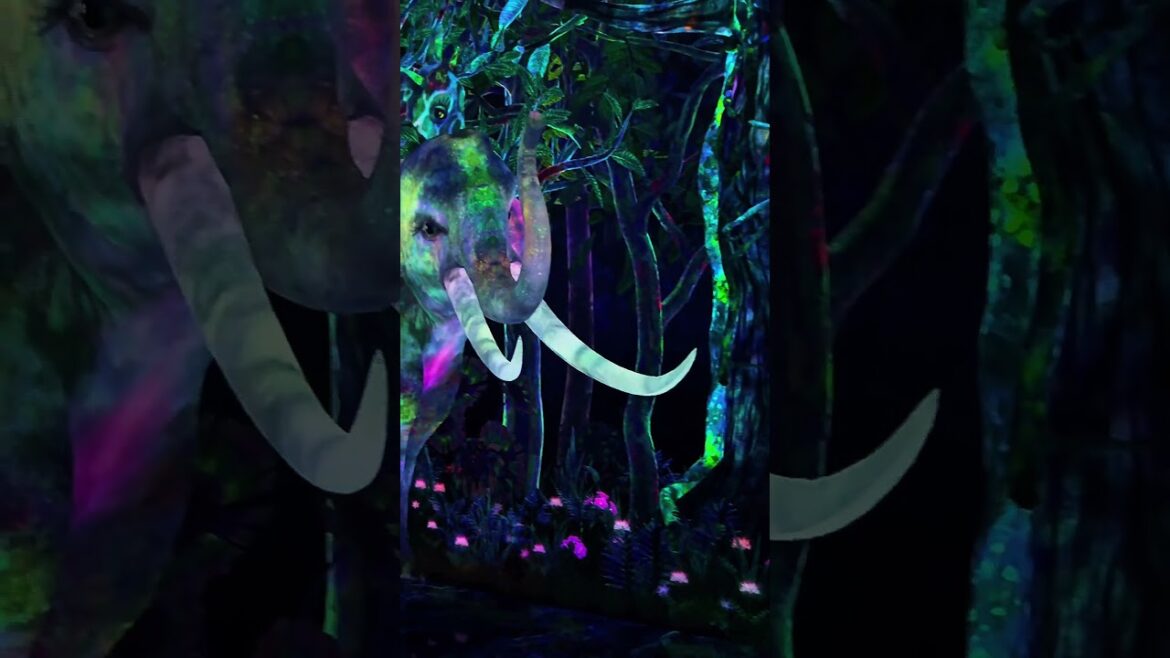 Japan 2025 #japantravel #explorejapan #visitjapan #japan #trip #vacation #adventure #2025 Japan 2025 #japantravel #explorejapan #visitjapan #japan #trip #vacation #adventure #2025