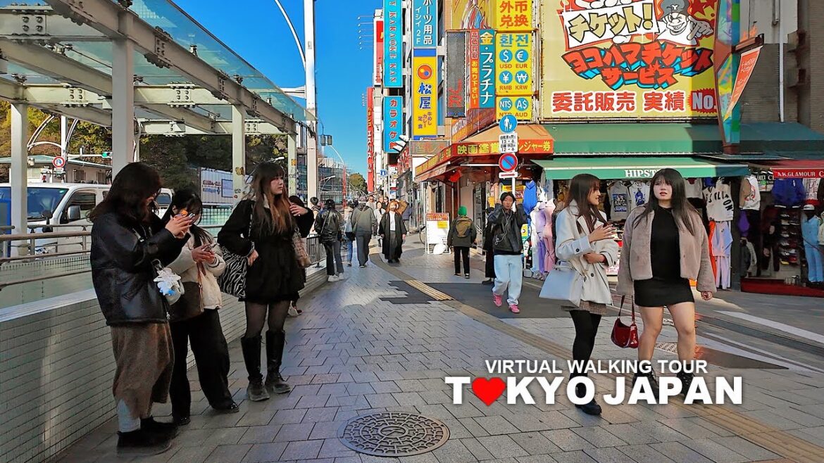 TOKYO JAPAN, Walking Tour Ueno, Ueno Park, Shinobazuno Pond, Taito City, Travel, 4K