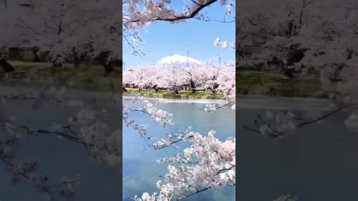 NEXT STOP IS ✈️: Aomori 🇯🇵 Japan #travel #asiantravel #japan #aomori #asia #japanese #japanlove NEXT STOP IS ✈️: Aomori 🇯🇵 Japan #travel #asiantravel #japan #aomori #asia #japanese #japanlove