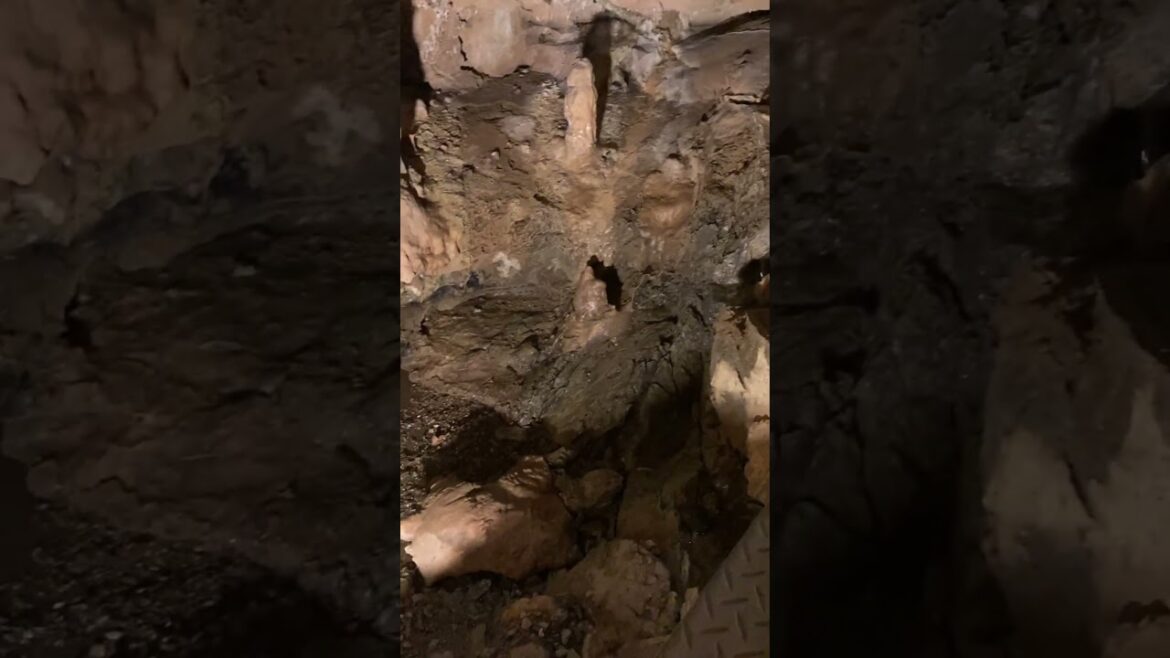 【静岡浜松旅行】竜ヶ岩洞（りゅうがしどう）①