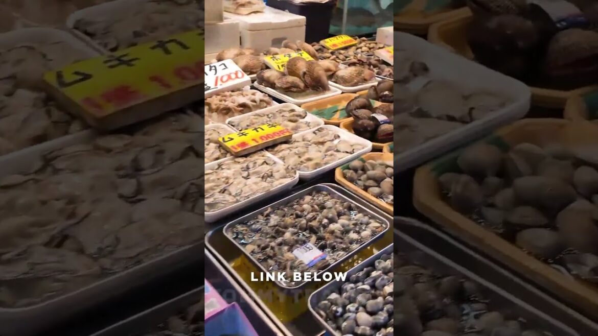 #tokyo #osaka #ohtani #kyoto #shibuya #ginza #onsen #shinjuku #soba #ramen #tokyotravel #japan